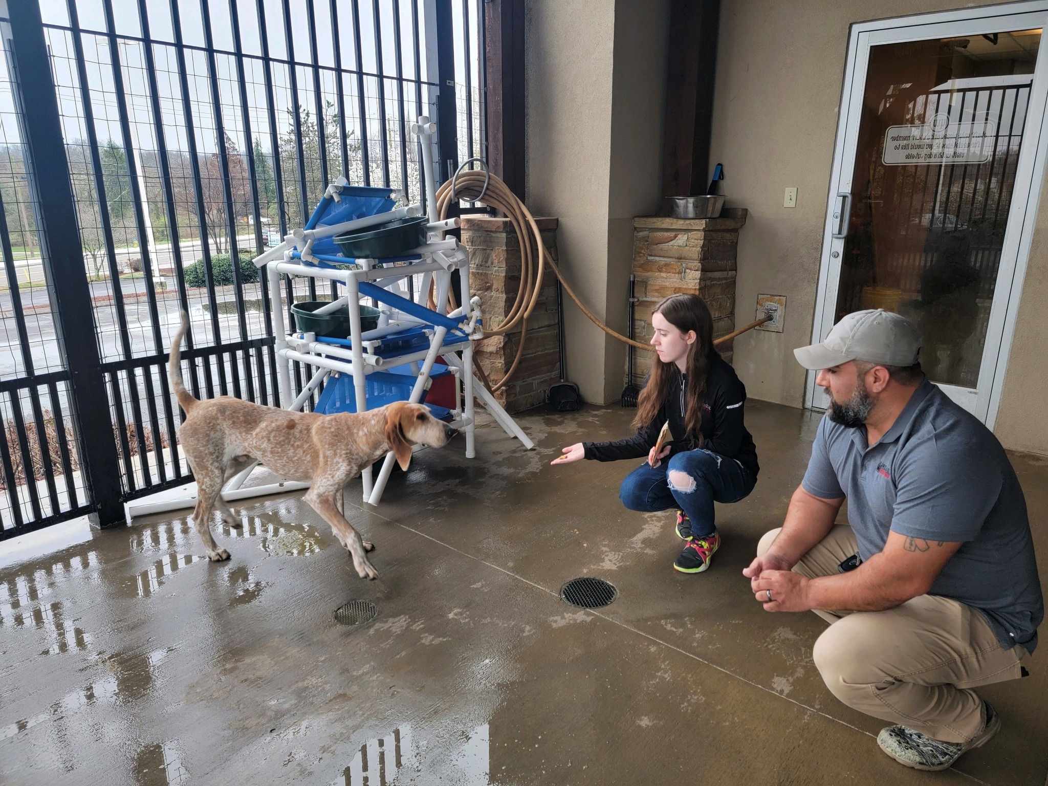 knoxville tn roofing company donates food to animal shelter